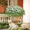 36 Pcs Artificial Flowers for Outdoor, UV Resistant Outdoor Fake Plants Faux Plastic Flowers Shrubs for Outside Garden Patio Porch Window Box Spring Summer Decor (Mixed White)
